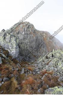 Photo Reference of Background